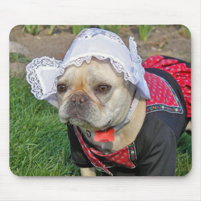 Fransk Bulldog Humor Musmatta (Framsidan)