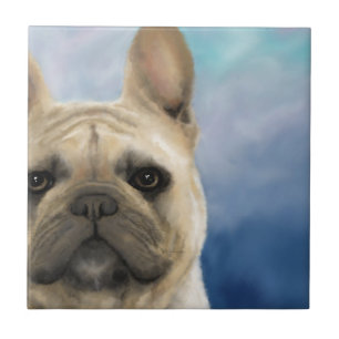 Fransk Bulldog Hund 158 Kakelplatta