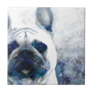 Fransk Bulldog Hund 159 Kakelplatta