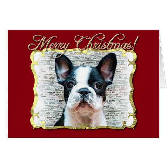 Fransk bulldog-hund hälsningskort (Framsidan Horizontal)