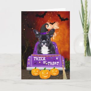Fransk Bulldog Hund i Halloween Lastbil Kort