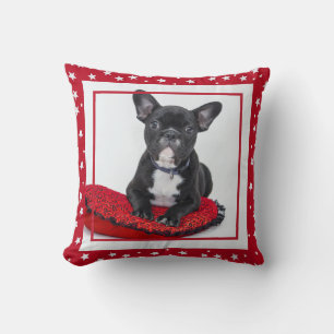 Fransk Bulldog Hund Photo Red Star jul Kudde