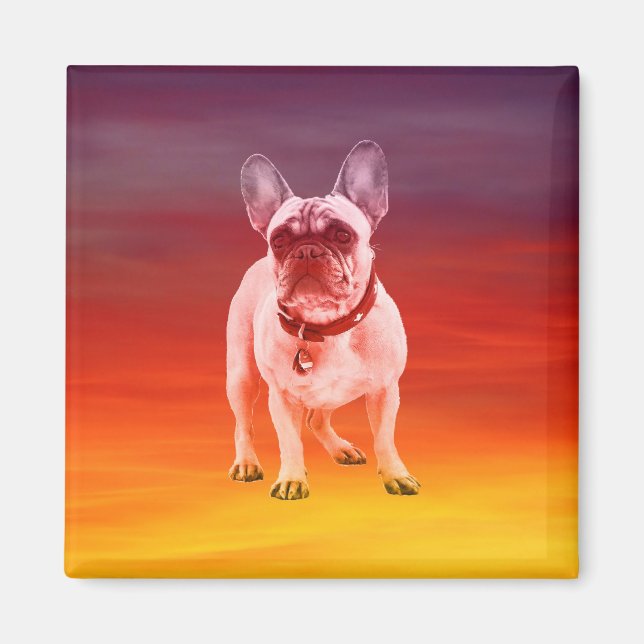 Fransk Bulldog Hund Sitta på stranden Magnet (Framsidan)