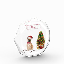 Fransk Bulldog Hund vid jul med Träd