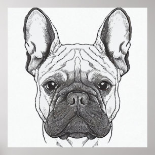 Fransk Bulldog Hund Vild Illustration på djur Poster