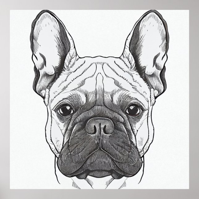 Fransk Bulldog Hund Vild Illustration på djur Poster (Framsidan)
