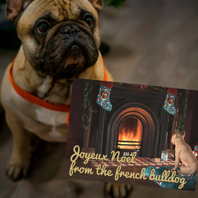 Fransk Bulldog-Hund vykort (Pawfect holiday postcard to send from your frenchie. Happy Howlidays!)