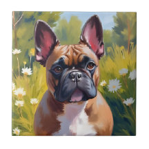 Fransk Bulldog | Husdjur Hund Målning Akvarell