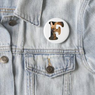 Fransk Bulldog i F Knapp