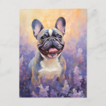 Fransk Bulldog i Lavender fält