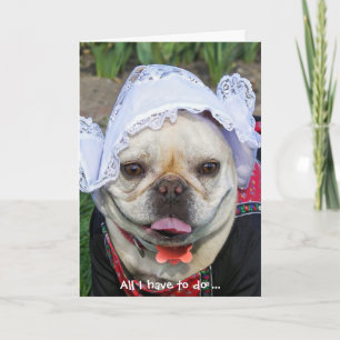 Fransk Bulldog i nederländskt lock tack Kort