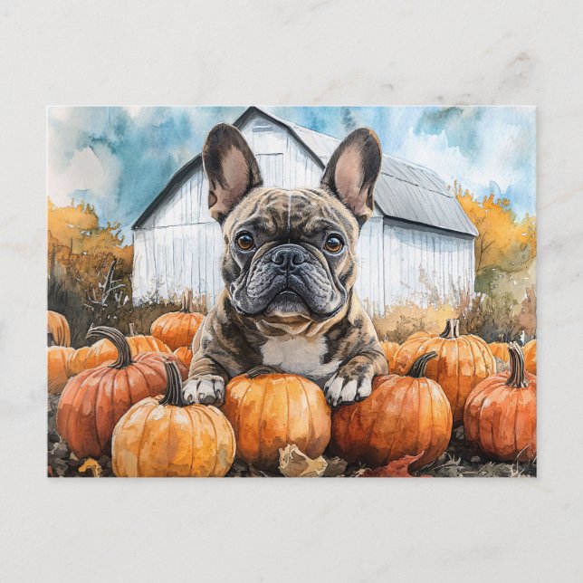 Fransk Bulldog i Pumpkin Patch Vykort (Framsida)