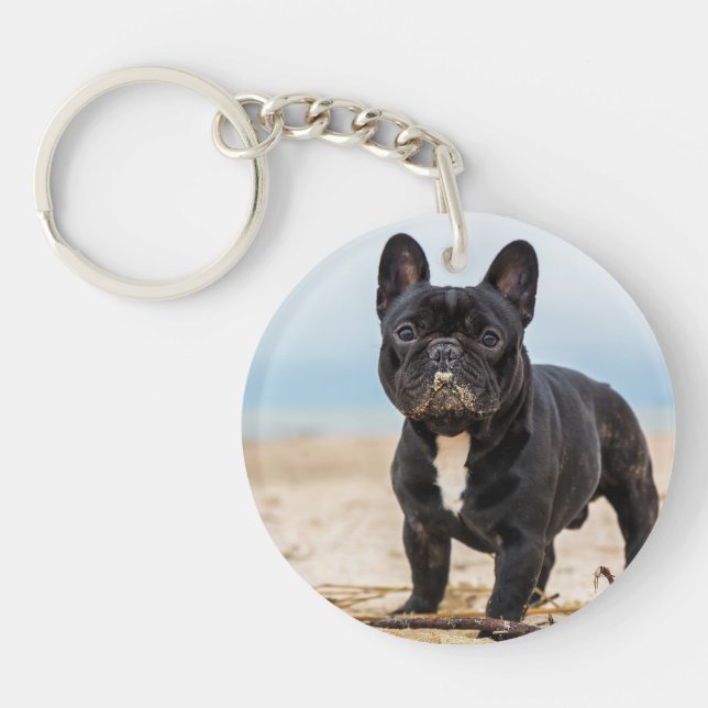 Fransk Bulldog i Sand (Framsidan)