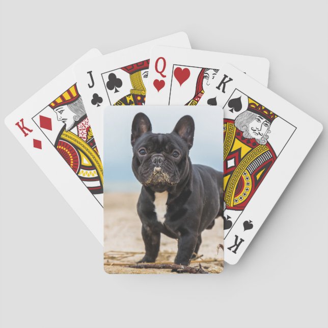 Fransk Bulldog i Sand Casinokort (Baksidan)