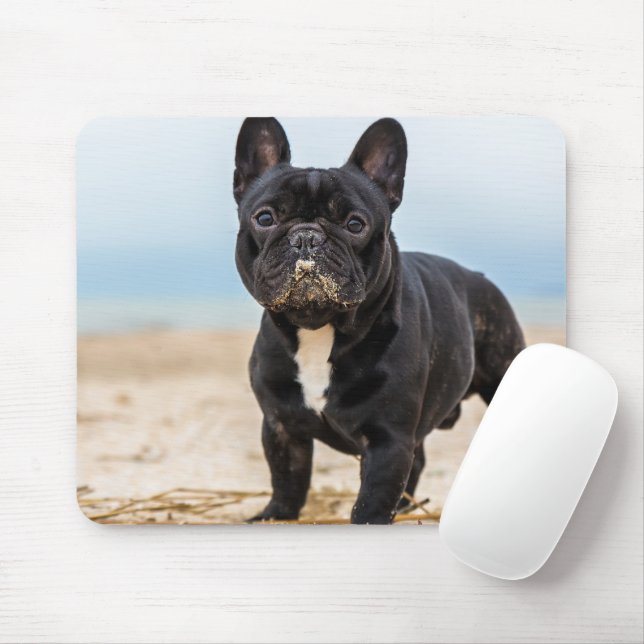 Fransk Bulldog i Sand Musmatta (Med mus)