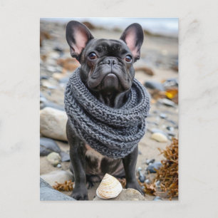 Fransk Bulldog i stickad hunddräkt Helg Vykort