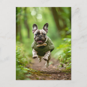 Fransk Bulldog i stickad hunddräkt Helg Vykort