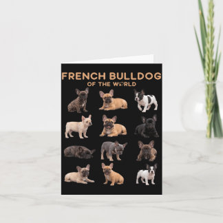 Fransk Bulldog i Världen Djur Hundälskare Kort