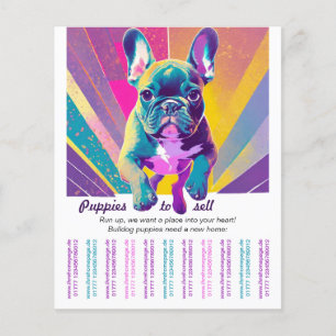 Fransk Bulldog in i ditt hem Flygblad