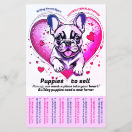 Fransk Bulldog in i ditt hem Flygblad