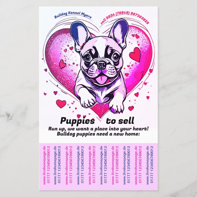 Fransk Bulldog in i ditt hem Flygblad (Framsidan)