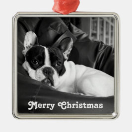 Fransk Bulldog Jul Ornament Personlig