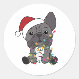 Fransk Bulldog Jul Snö Winter Animals Runt Klistermärke
