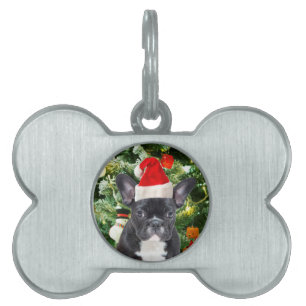 Fransk Bulldog Julgran Ornaments Snögubbe Namnbricka Husdjur