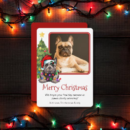 Fransk Bulldog Julgran Pet Hund One Photo Julkort