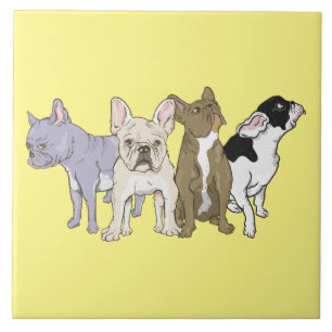 Fransk Bulldog Kakelplatta