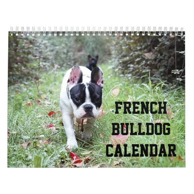 Fransk Bulldog-kalender med dina foton Kalender (Omslag)