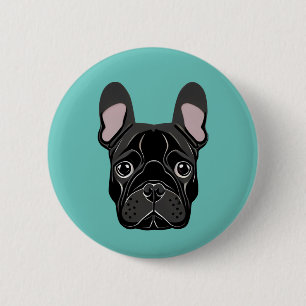 Fransk Bulldog Knapp