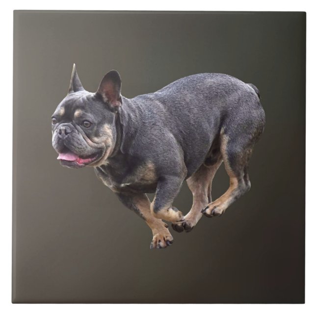 Fransk Bulldog Kör Kakelplatta (Framsidan)