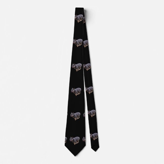 Fransk Bulldog Kör Slips (Framsida)