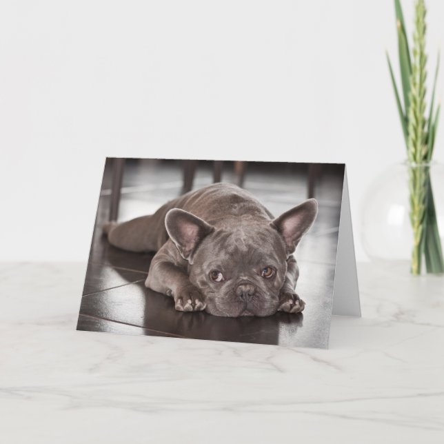 Fransk Bulldog Kort (Framsida)