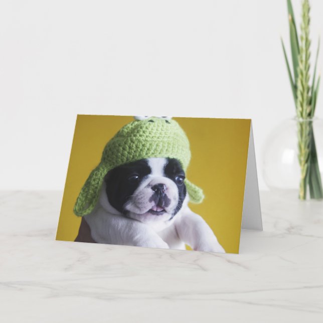 Fransk Bulldog Kort (Framsida)