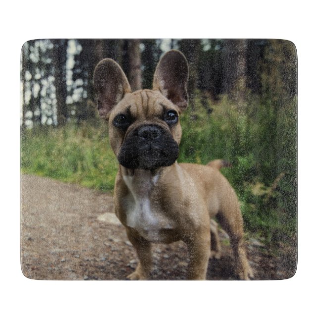 Fransk Bulldog Kudd (Framsidan)