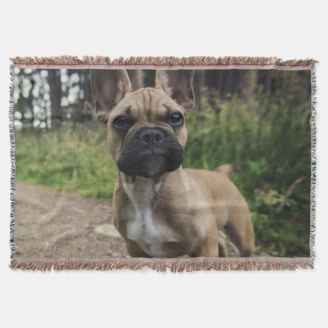 Fransk Bulldog Kudd Filt (Framsidan)