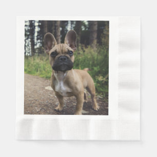 Fransk Bulldog Kudd Pappersservett