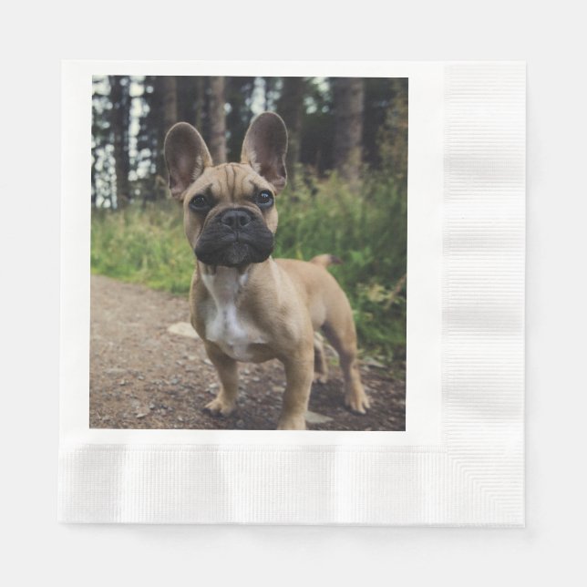 Fransk Bulldog Kudd Pappersservett (Framsidan)