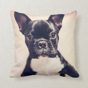 Fransk Bulldog Kudde