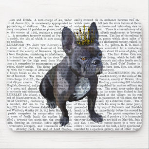 Fransk Bulldog Kung Musmatta