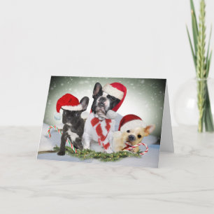 Fransk Bulldog Let It Snow Kort