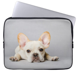 Fransk Bulldog Ljuger nedåt Laptop Fodral
