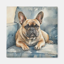 Fransk Bulldog