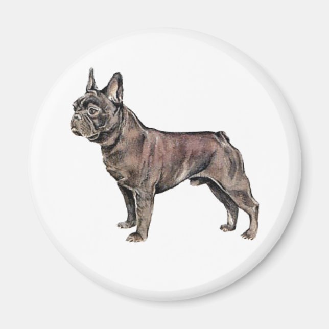 Fransk Bulldog magnet (Framsidan)