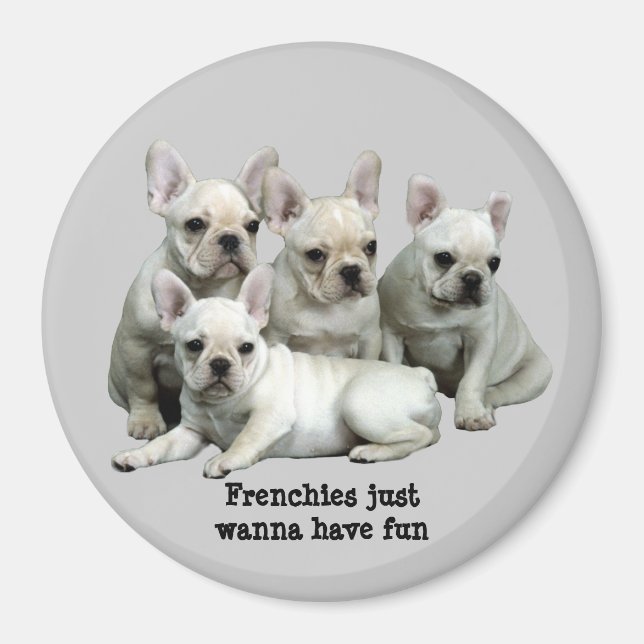 Fransk Bulldog Magnet (Framsidan)