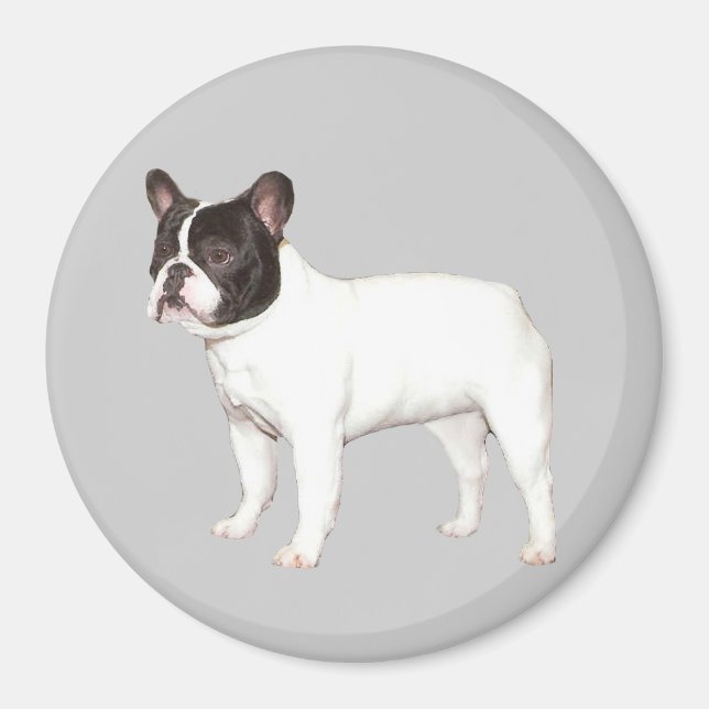 Fransk Bulldog Magnet (Framsidan)