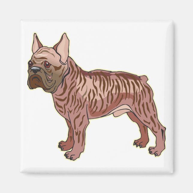 Fransk Bulldog Magnet (Framsidan)
