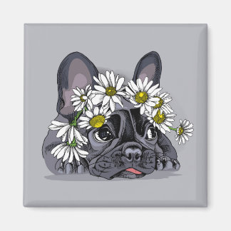 Fransk Bulldog Magnet